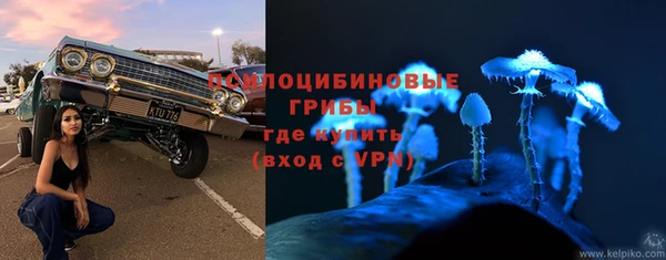 твердый Инсар