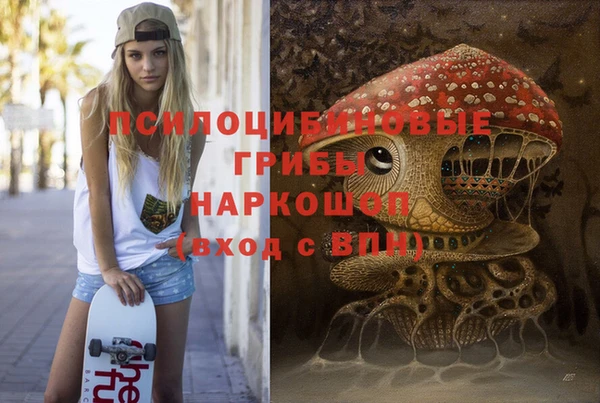 метамфетамин Алексеевка